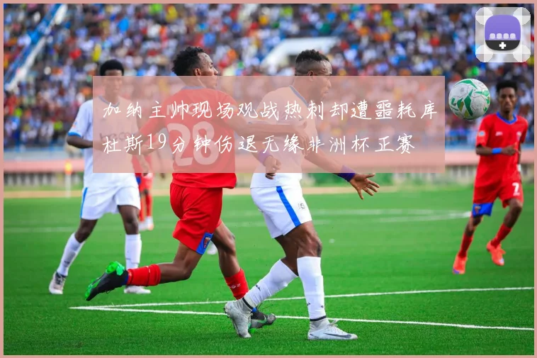 加纳主帅现场观战热刺却遭噩耗库杜斯19分钟伤退无缘非洲杯正赛