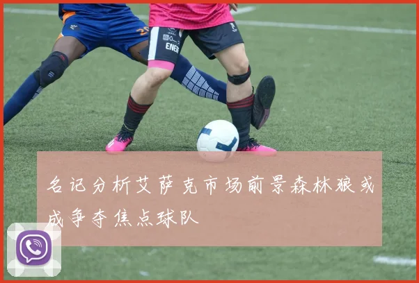 名记分析艾萨克市场前景森林狼或成争夺焦点球队